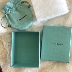 Tiffany & Co. box and dust bag small hand size